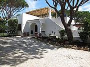 Villas in Vale de Lobo