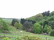 Cottages in Forest of Dean